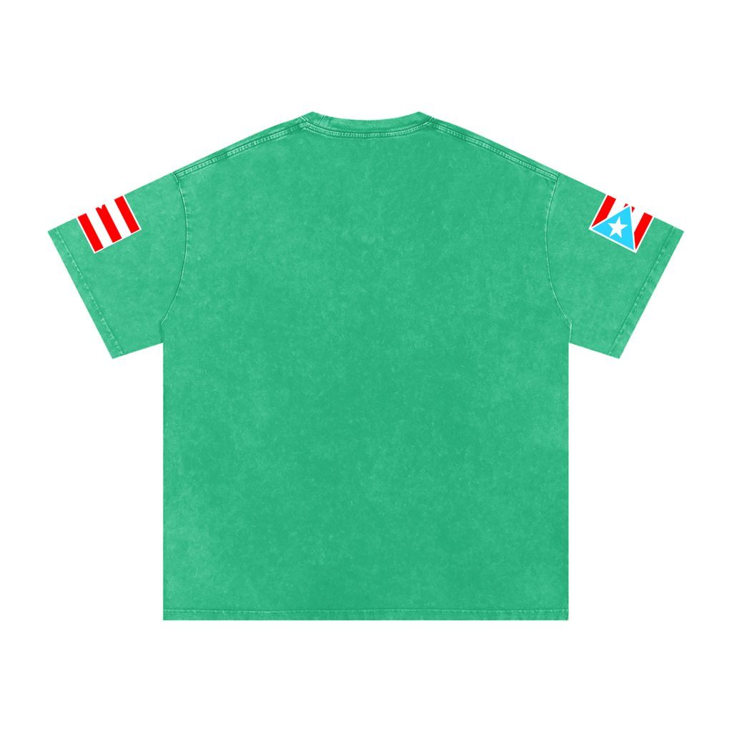 Coqui Warrior (Premium Snow Washed Oversized Tee)