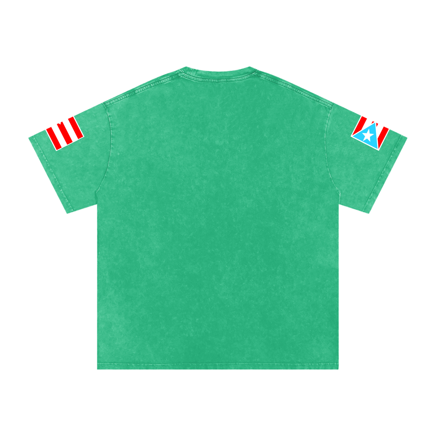 Coqui Warrior (Premium Snow Washed Oversized Tee)