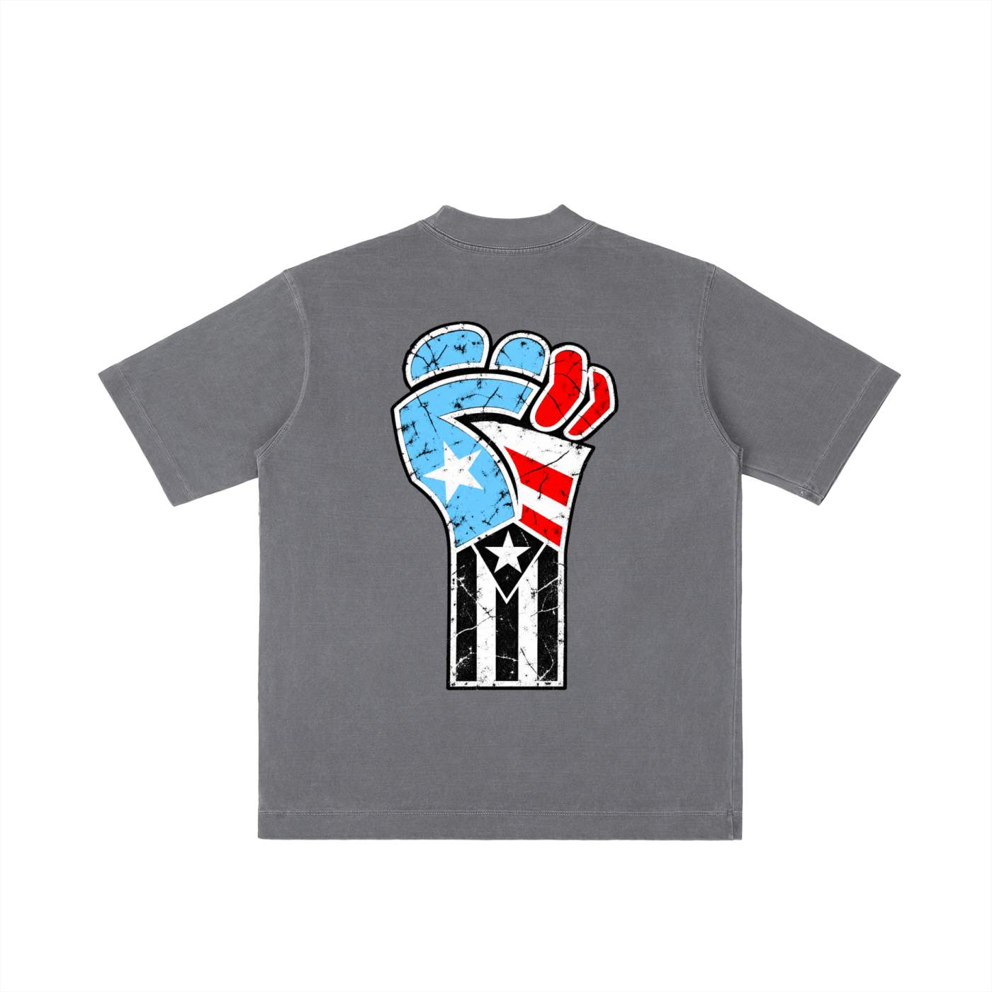 Raíces de Resistencia (Heavyweight Vintage Wash Tee)