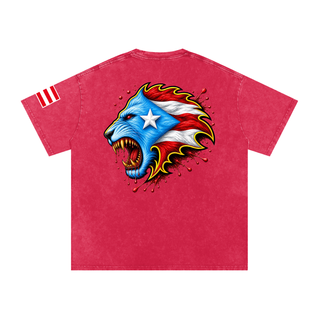 Spirit Of Boriken ‘26 (Heritage Wash Tee)