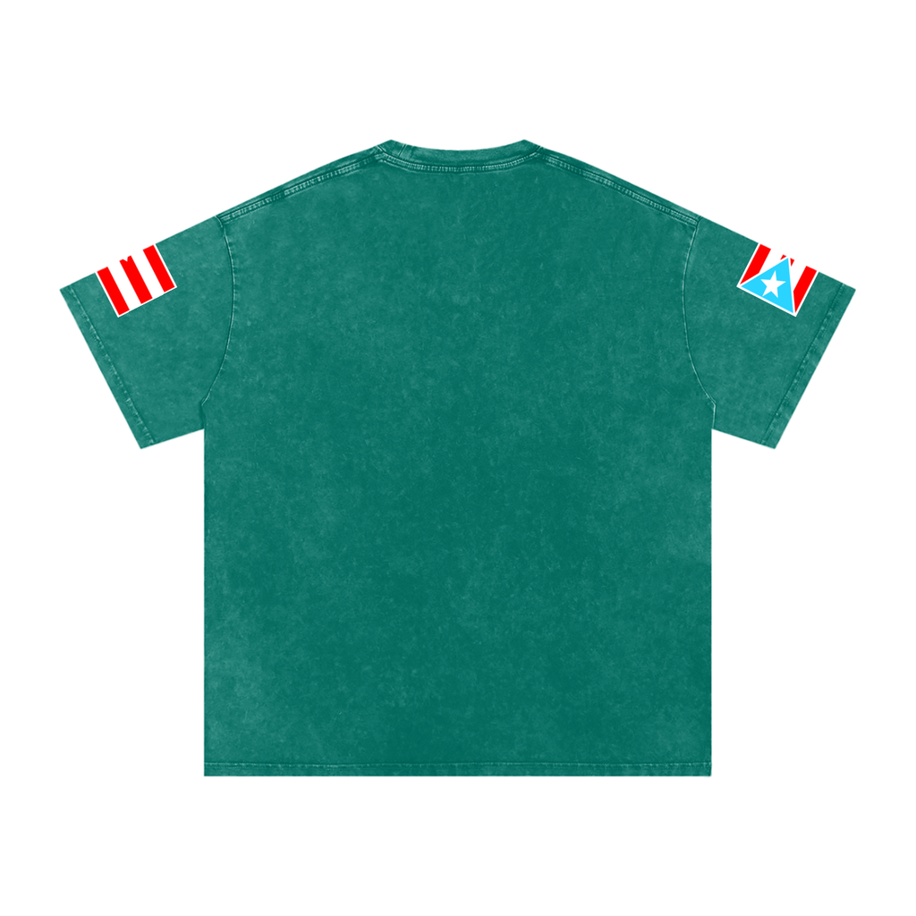 Coqui Warrior (Premium Snow Washed Oversized Tee)