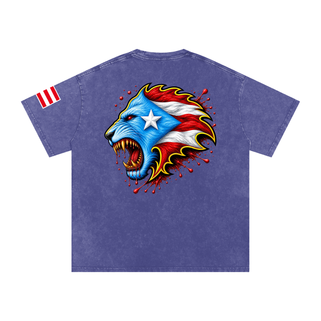 Spirit Of Boriken ‘26 (Heritage Wash Tee)