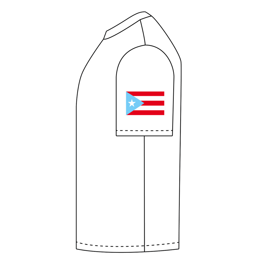 Coquí de Borikén (Premium Heavyweight Tee)